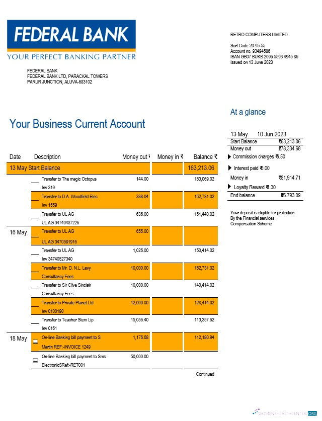 Download Federal Bank company account statement Word and PDF template Photoshop template